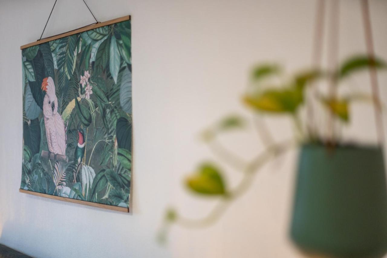 Kakadu - Zentral - Workplace - Gemeinschaftsterrasse, Snes Frankenberg an der Eder Exterior foto